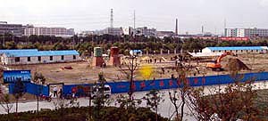 金年会