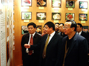 金年会