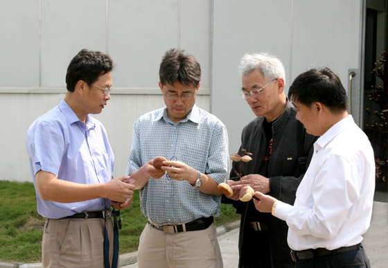 金年会