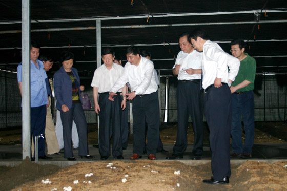 金年会